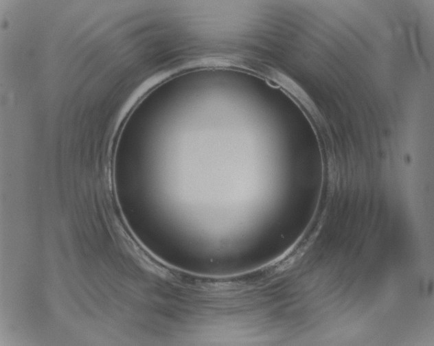 X0000074321436200609011526