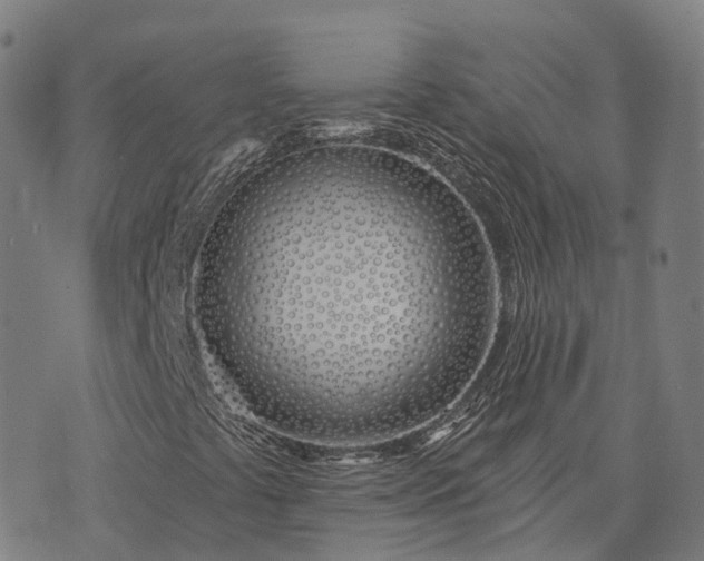 X0000074321441200609011525