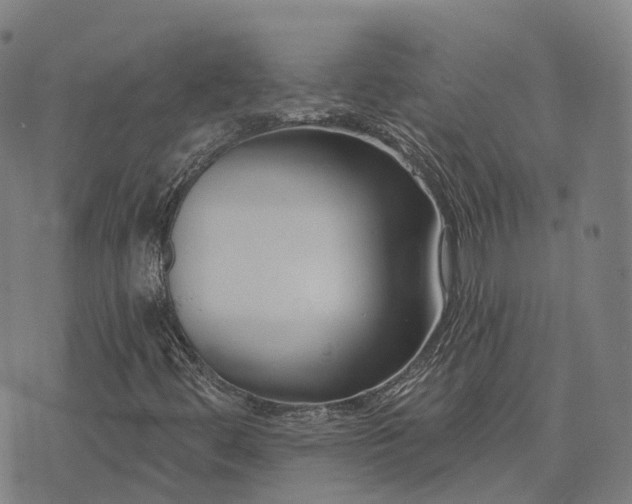 X0000074321444200609011525
