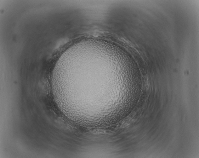 X0000074321446200609011525