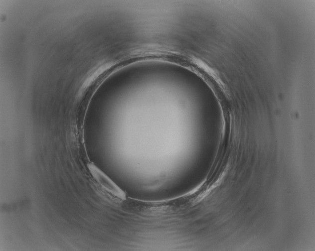X0000074321453200609011525