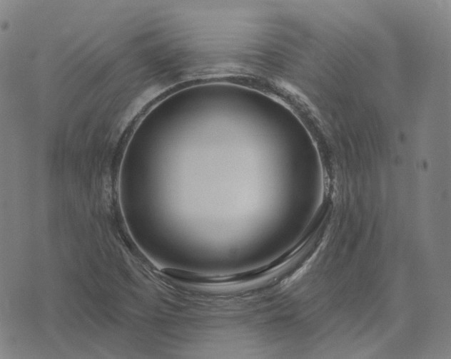 X0000074321457200609011525