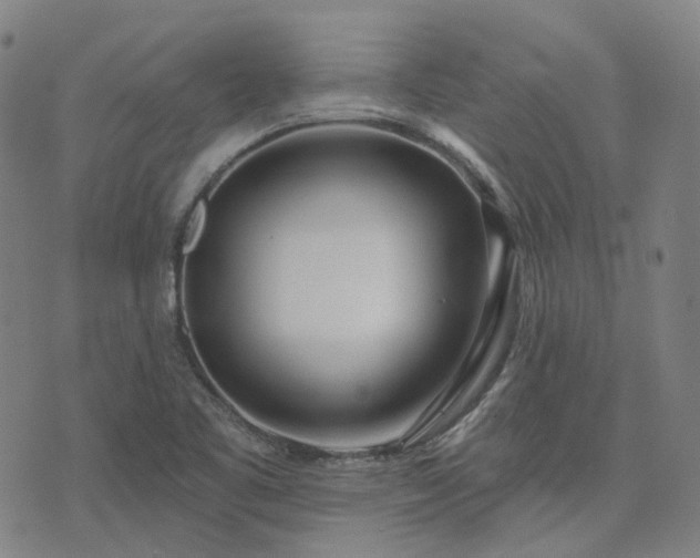 X0000074321461200609011525