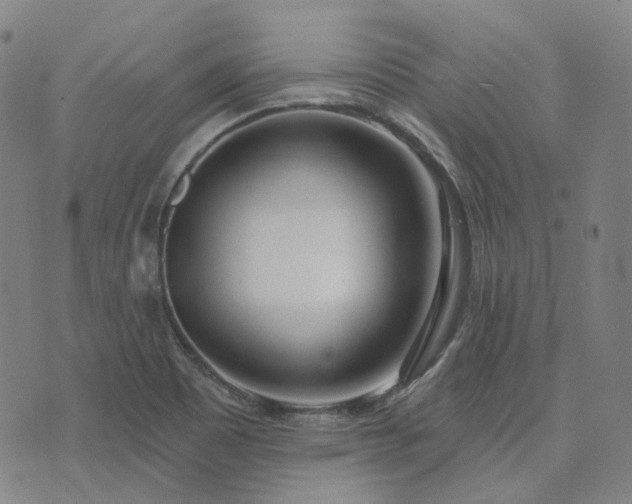 X0000074321465200609011525