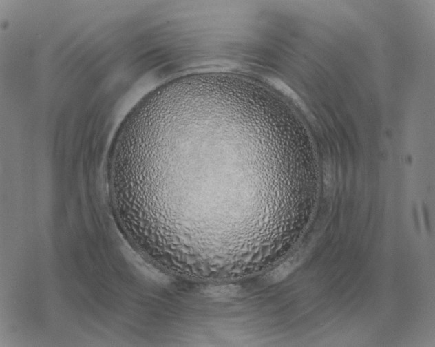 X0000074321466200609011525