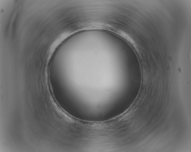 X0000074321480200609011525