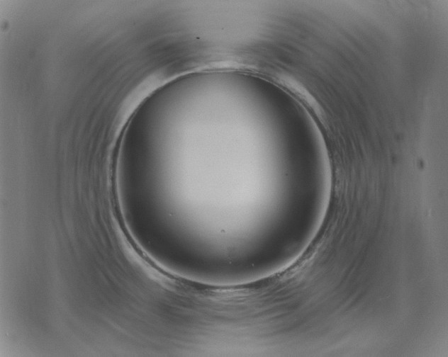 X0000074321483200609011525