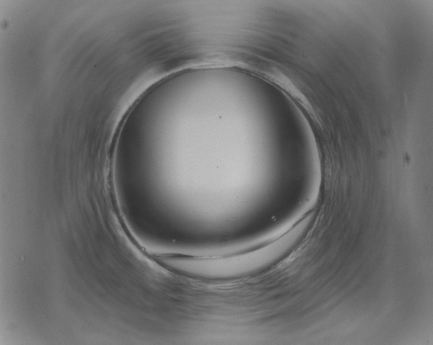 X0000074321484200609011525