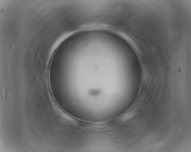 X0000074321486200609011525