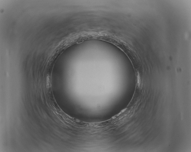 X0000074321492200609011524