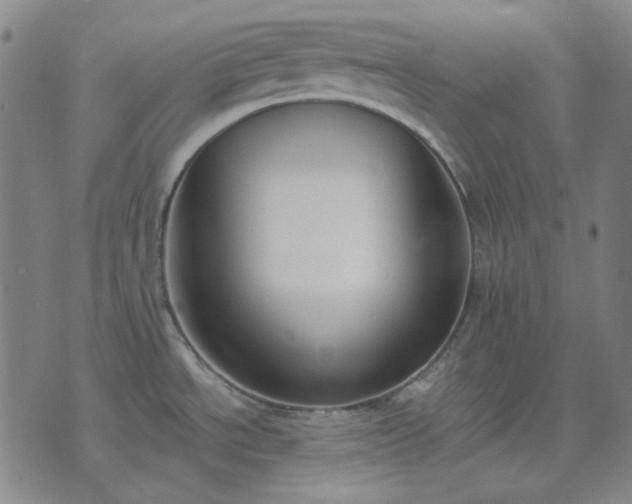 X0000074321534200609011525
