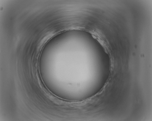 X0000074320001200609082019