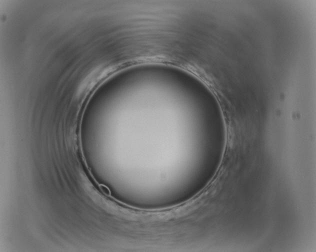 X0000074320002200609082019