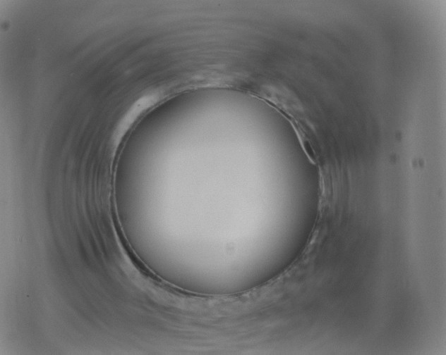 X0000074320003200609082019