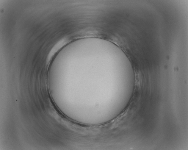 X0000074320004200609082019