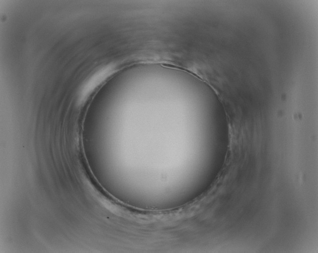 X0000074320005200609082019