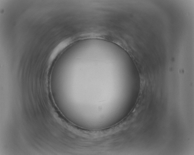 X0000074320006200609082019