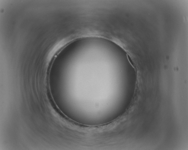 X0000074320007200609082019