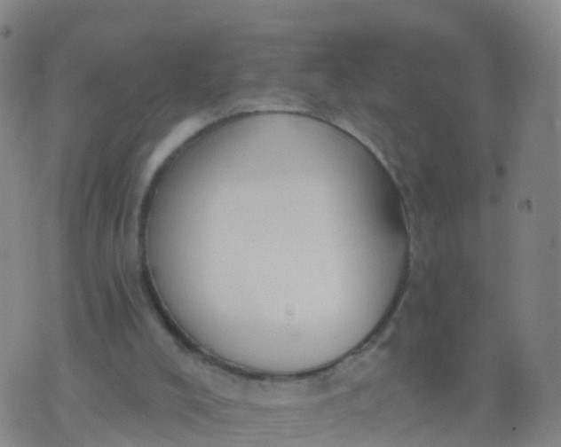 X0000074320008200609082019