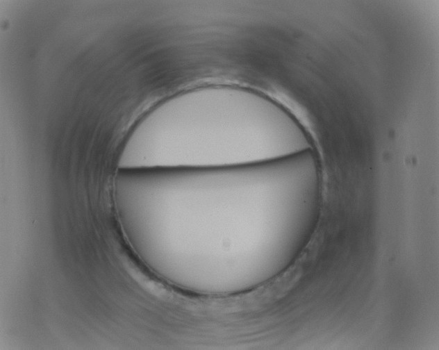 X0000074320009200609082019