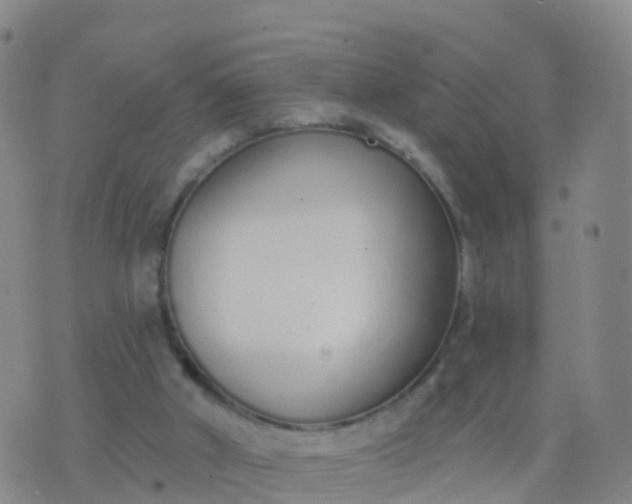 X0000074320010200609082019