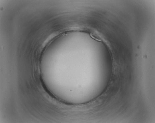 X0000074320011200609082018