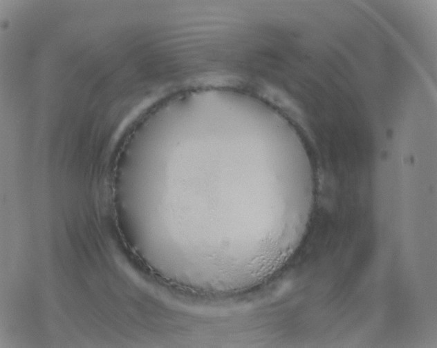 X0000074320012200609082018