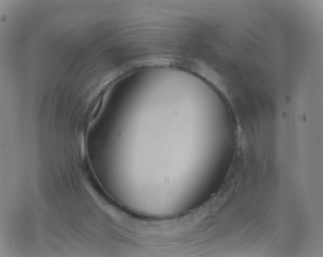 X0000074320013200609082018