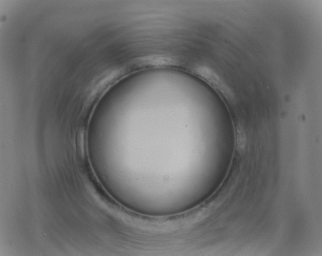 X0000074320014200609082018