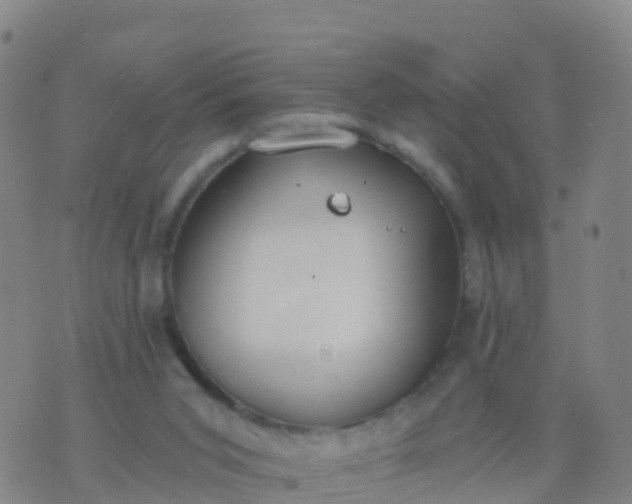 X0000074320015200609082018