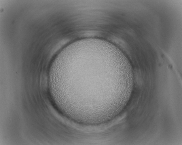 X0000074320016200609082018