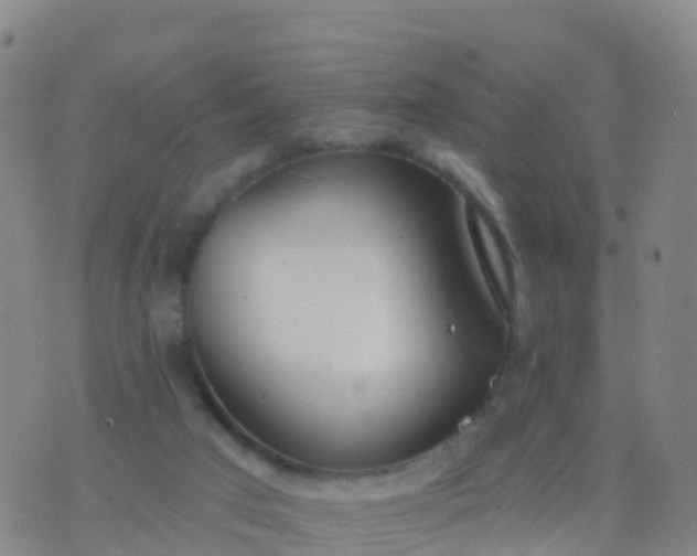 X0000074320017200609082018