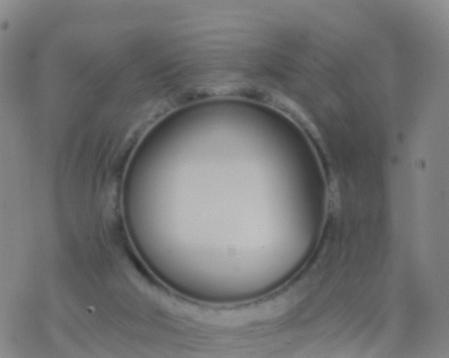 X0000074320018200609082018