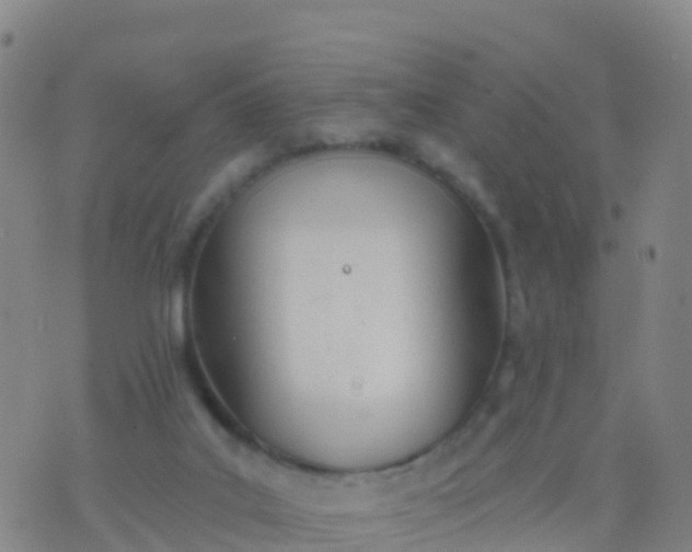 X0000074320019200609082018