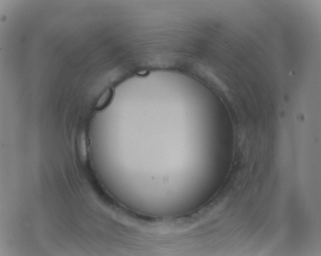 X0000074320020200609082018