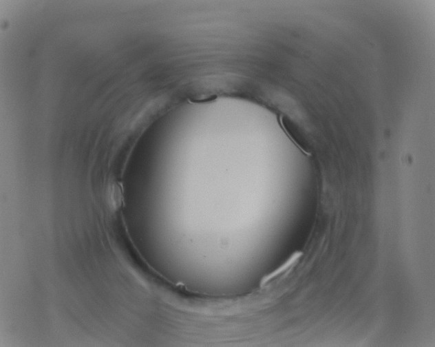 X0000074320021200609082018