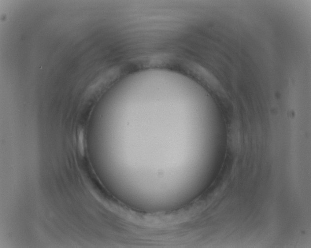 X0000074320022200609082018