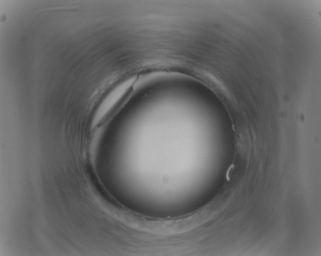 X0000074320023200609082018