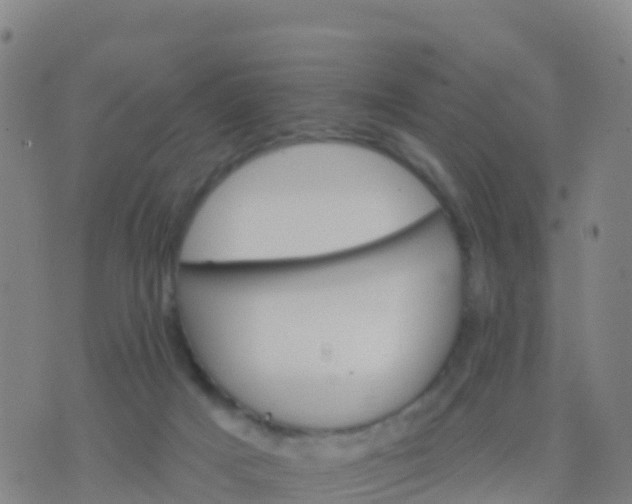 X0000074320025200609082018