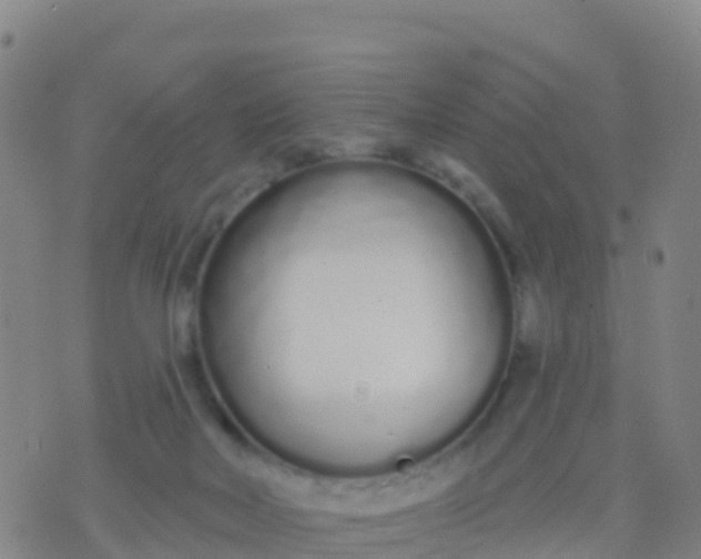 X0000074320026200609082018