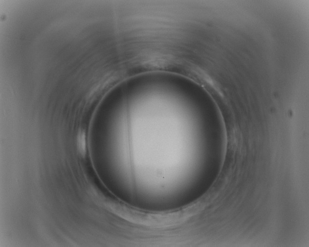 X0000074320027200609082018