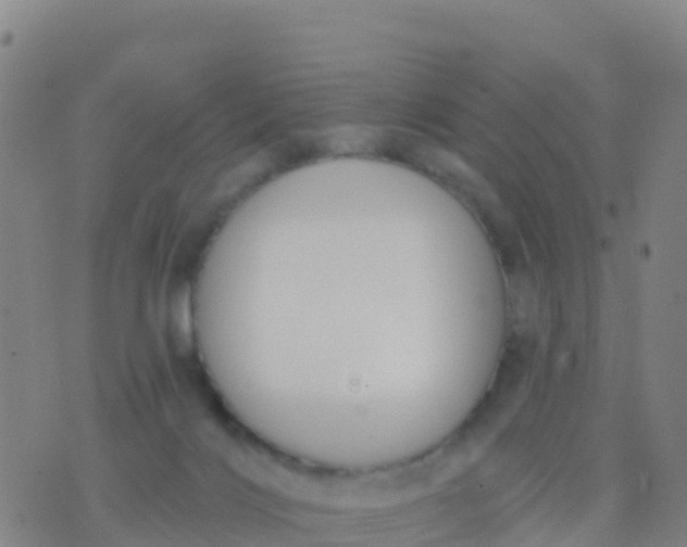 X0000074320028200609082018