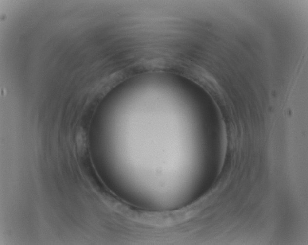 X0000074320029200609082018