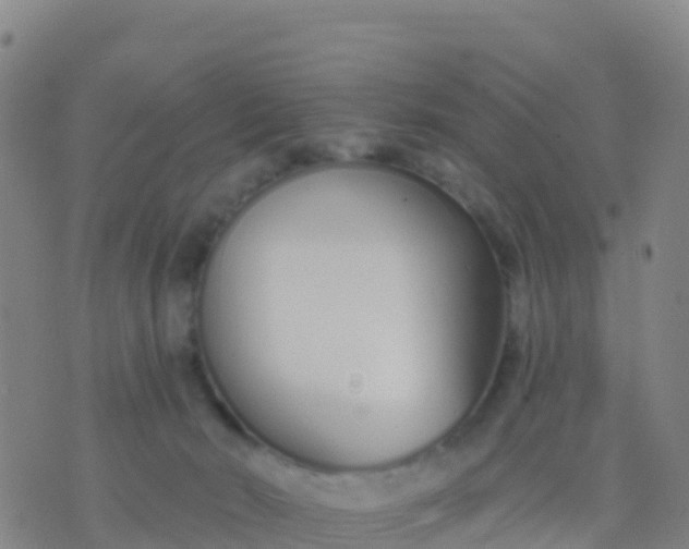 X0000074320030200609082018