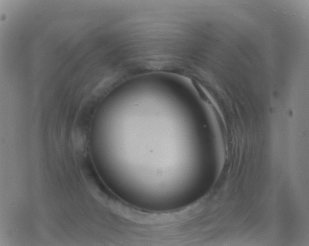 X0000074320031200609082018