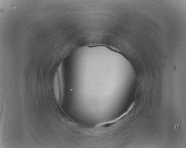 X0000074320033200609082018