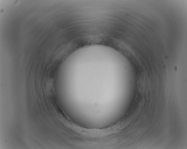 X0000074320034200609082018