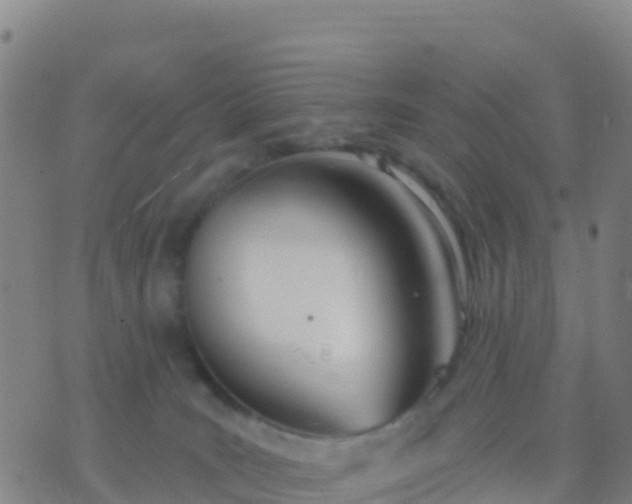 X0000074320035200609082018