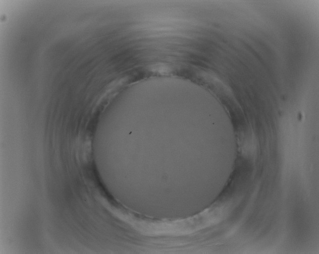 X0000074320036200609082018