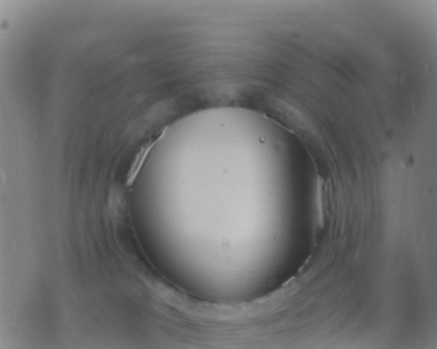 X0000074320037200609082018